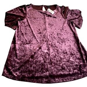Lane Bryant Mini Shift Dress Women's 10/12 Purple Burgundy Velvet Short Sleeve